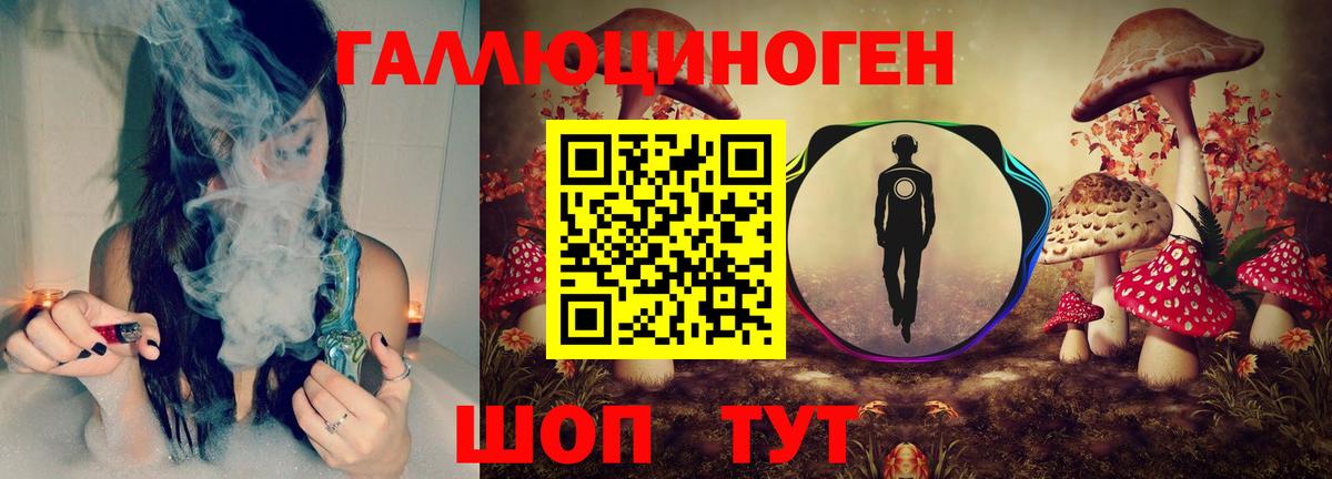 Галлюциногенные грибы Psilocybine cubensis  Вход с VPN  Псилоцибиновые грибы Cubensis  Майский 